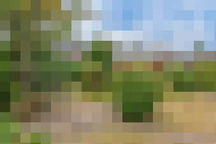 De Wilderen 7 Waalre thumbnail 23
