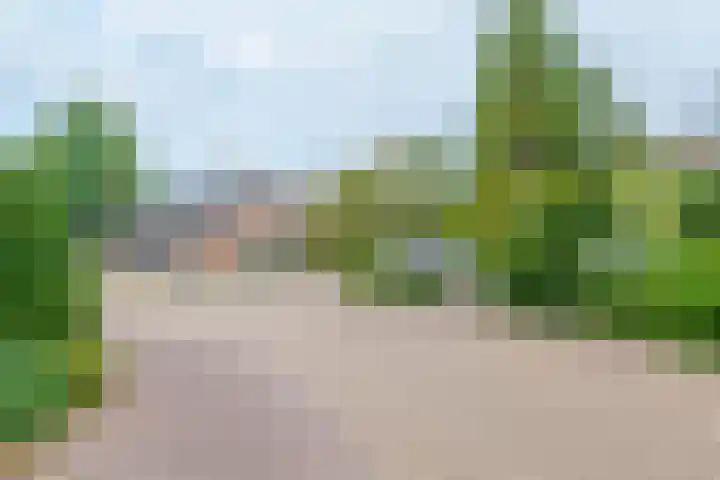 De Wilderen 7 Waalre thumbnail 27