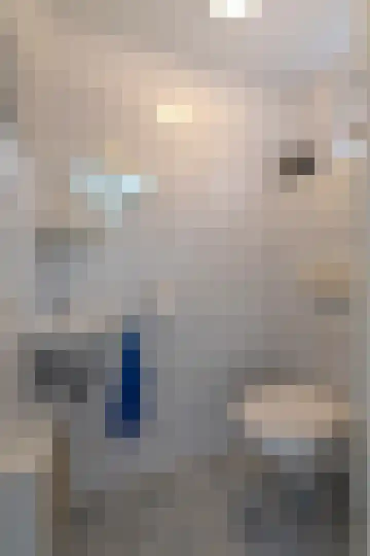 De Wilderen 7 Waalre thumbnail 5