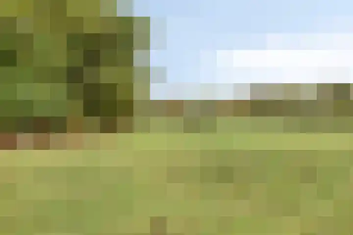 de Wildert 20 Hoogerheide foto 3