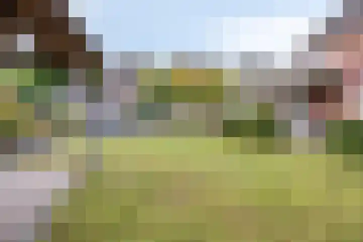 de Wildert 20 Hoogerheide thumbnail 40