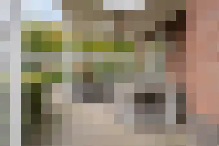 de Wildert 20 Hoogerheide thumbnail 41