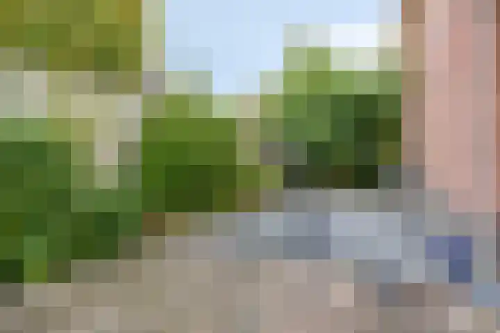 de Wildert 20 Hoogerheide thumbnail 43