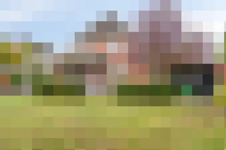 de Wildert 20 Hoogerheide thumbnail 45