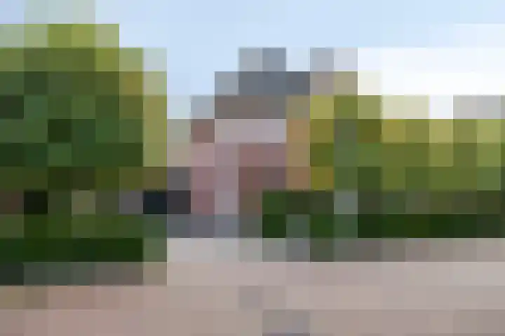 de Wildert 20 Hoogerheide thumbnail 51