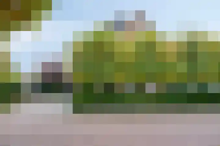 de Wildert 20 Hoogerheide thumbnail 52