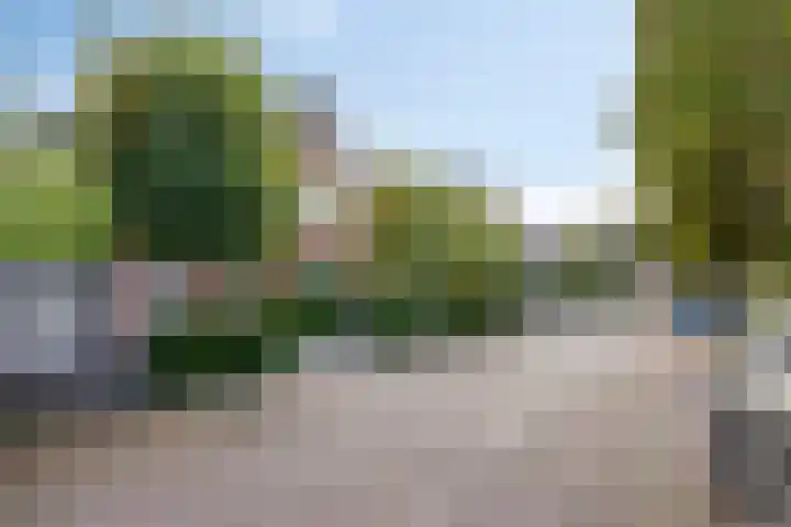 de Wildert 20 Hoogerheide thumbnail 53