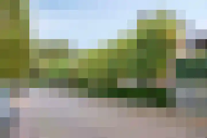 de Wildert 20 Hoogerheide thumbnail 54