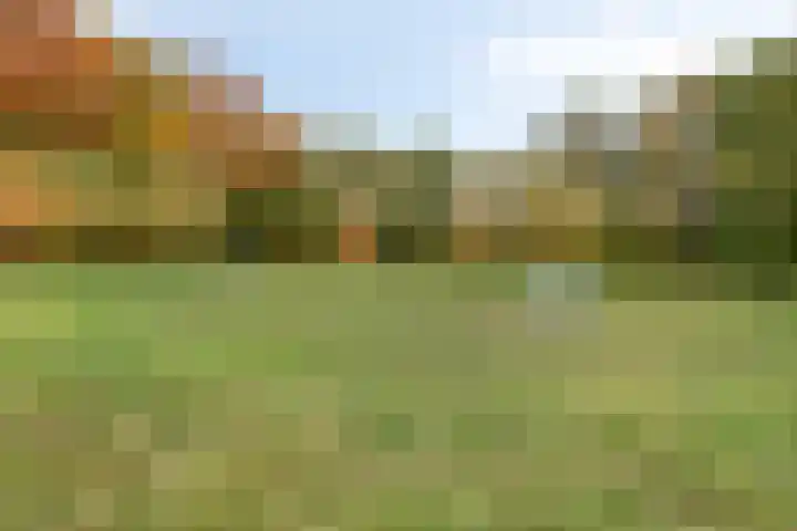 de Wildert 20 Hoogerheide thumbnail 55