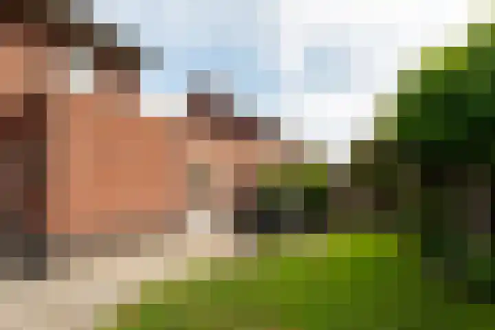 de Wildert 4 Hoogerheide thumbnail 29