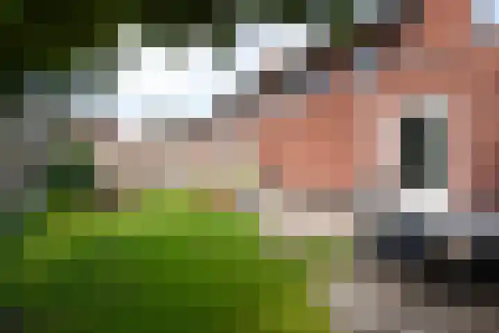 de Wildert 4 Hoogerheide thumbnail 30