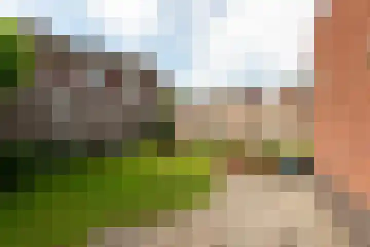de Wildert 4 Hoogerheide thumbnail 31