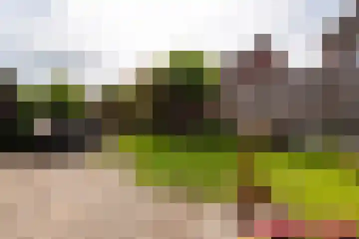 de Wildert 4 Hoogerheide thumbnail 32