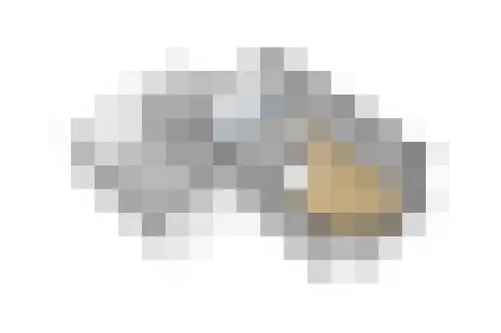 de Wildert 4 Hoogerheide thumbnail 41