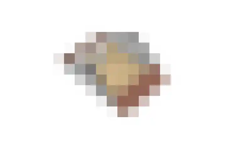 de Wildert 4 Hoogerheide thumbnail 43