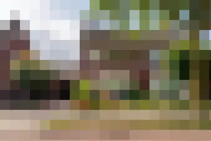 de Wildert 4 Hoogerheide thumbnail 44