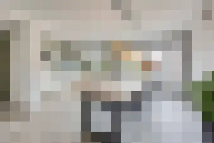 De Wildestraat 8 Oss thumbnail 12