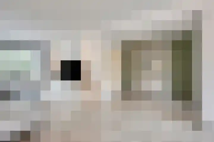 De Wildestraat 8 Oss thumbnail 14