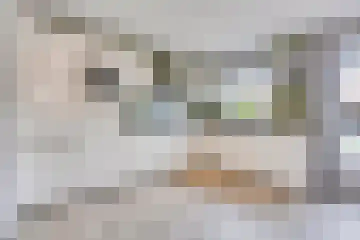 De Wildestraat 8 Oss thumbnail 15
