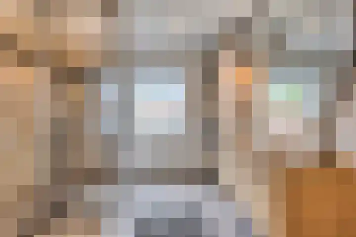 De Wildestraat 8 Oss thumbnail 22