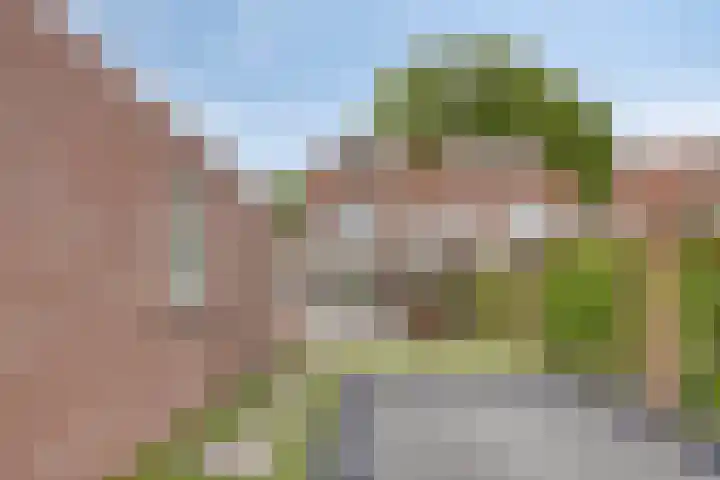 De Wildestraat 8 Oss thumbnail 39