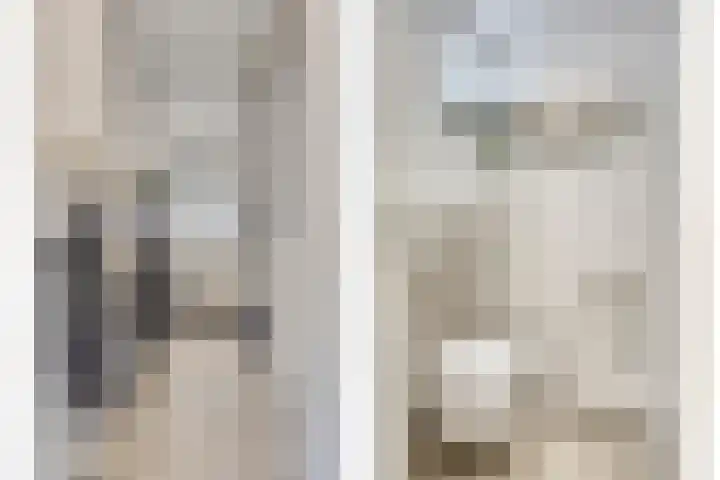 De Wildestraat 8 Oss thumbnail 7