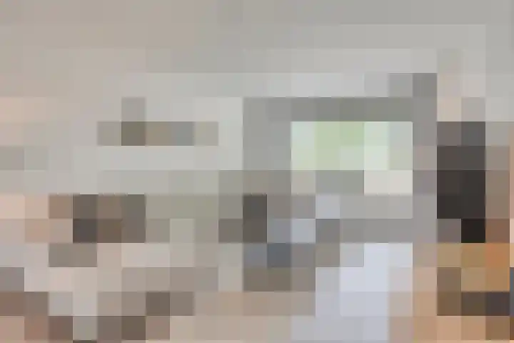 De Wildestraat 8 Oss thumbnail 8