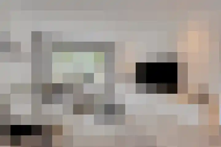 De Wildestraat 8 Oss thumbnail 9