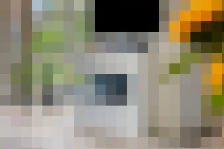 de Wildkamp 17 Epe thumbnail 11