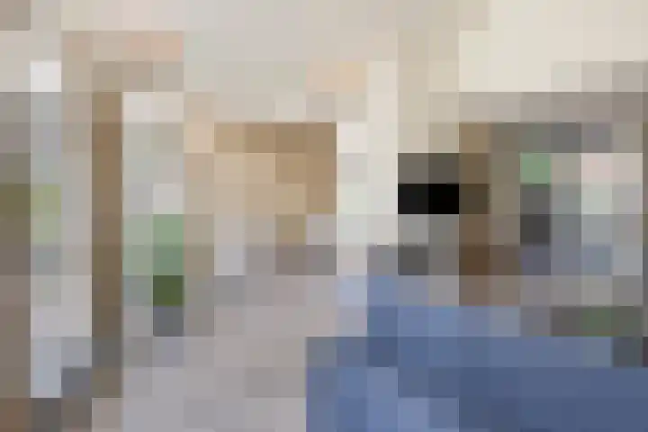 de Wildkamp 17 Epe thumbnail 12