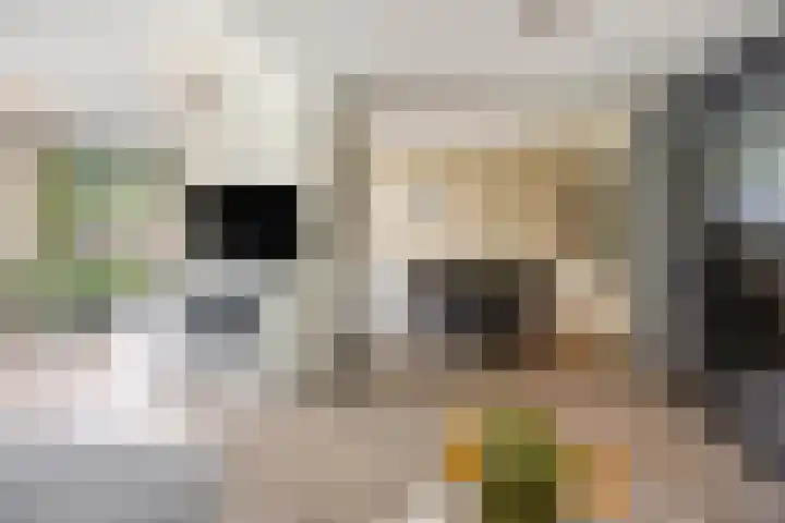 de Wildkamp 17 Epe thumbnail 14