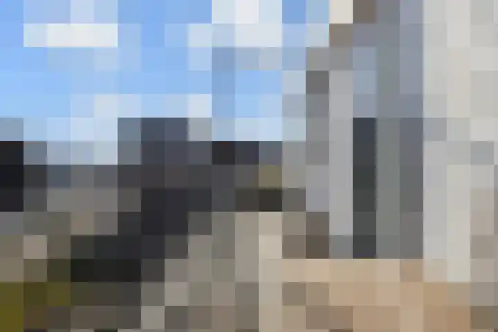 de Wildkamp 17 Epe thumbnail 16