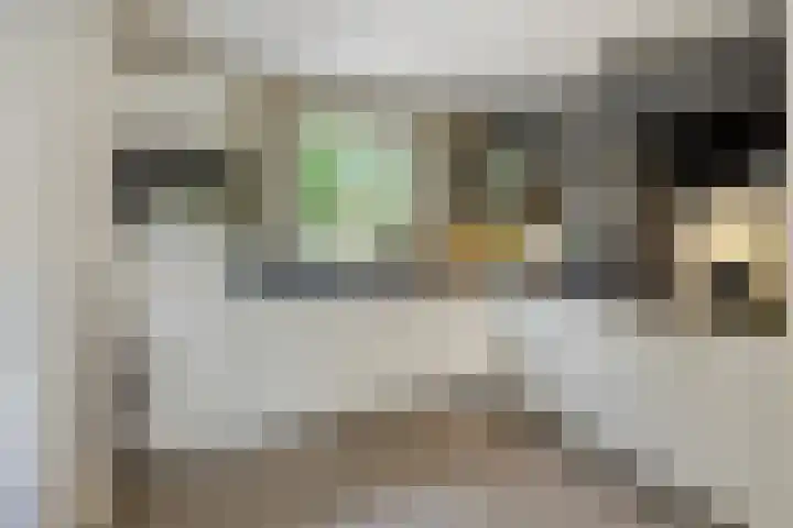 de Wildkamp 17 Epe thumbnail 18