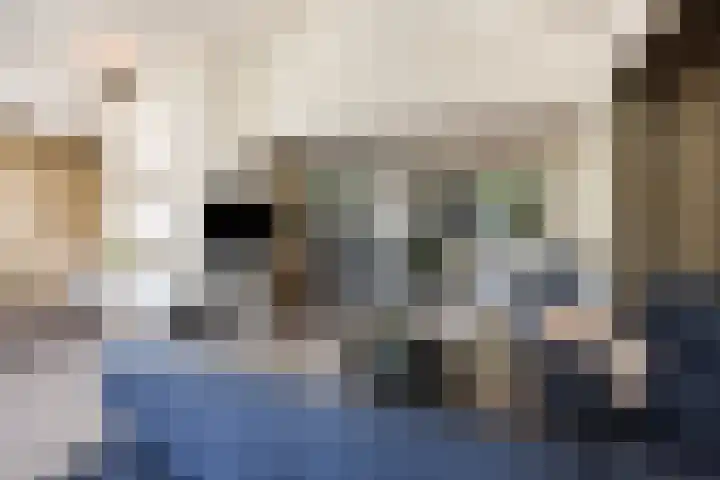 de Wildkamp 17 Epe foto 2