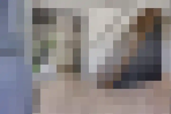 de Wildkamp 17 Epe thumbnail 26