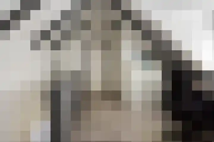 de Wildkamp 17 Epe thumbnail 27