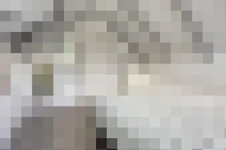 de Wildkamp 17 Epe thumbnail 29