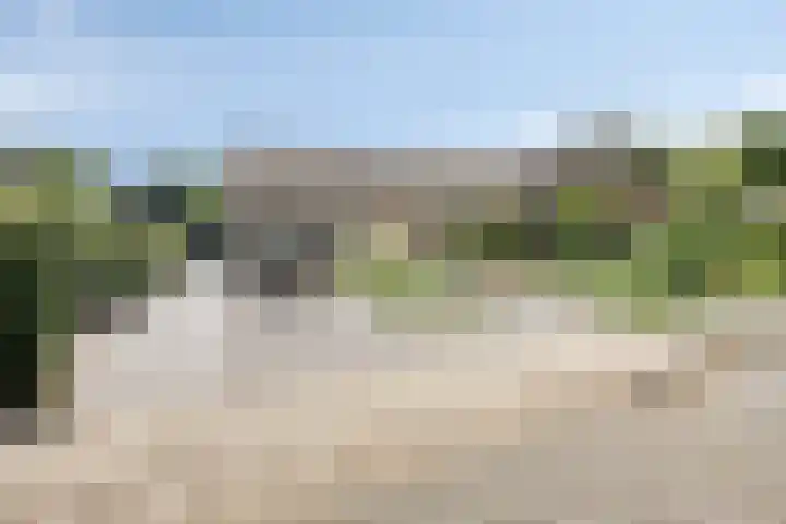 de Wildkamp 17 Epe foto 3