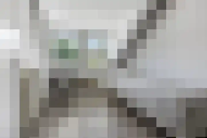 de Wildkamp 17 Epe thumbnail 30