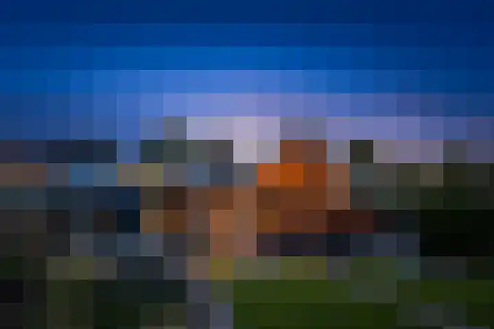 de Wildkamp 17 Epe thumbnail 32