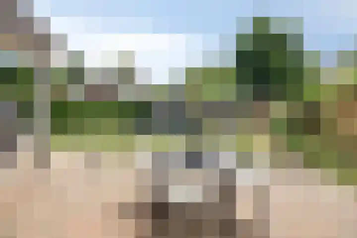 de Wildkamp 17 Epe thumbnail 36