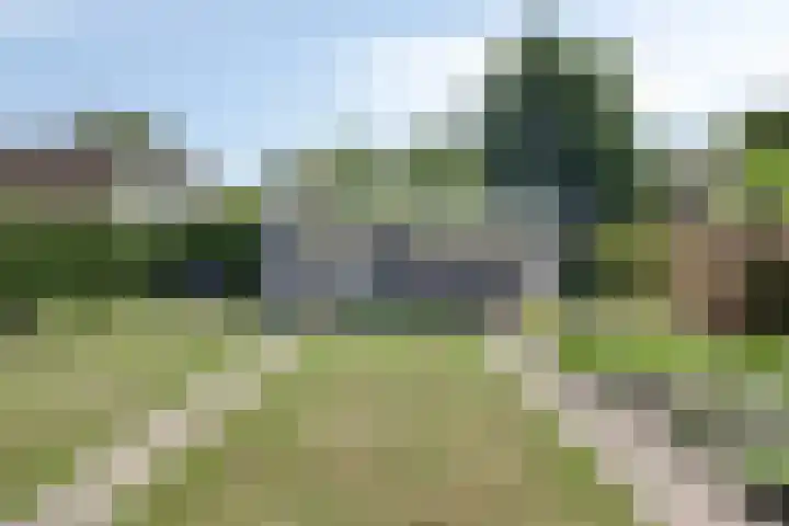 de Wildkamp 17 Epe thumbnail 37