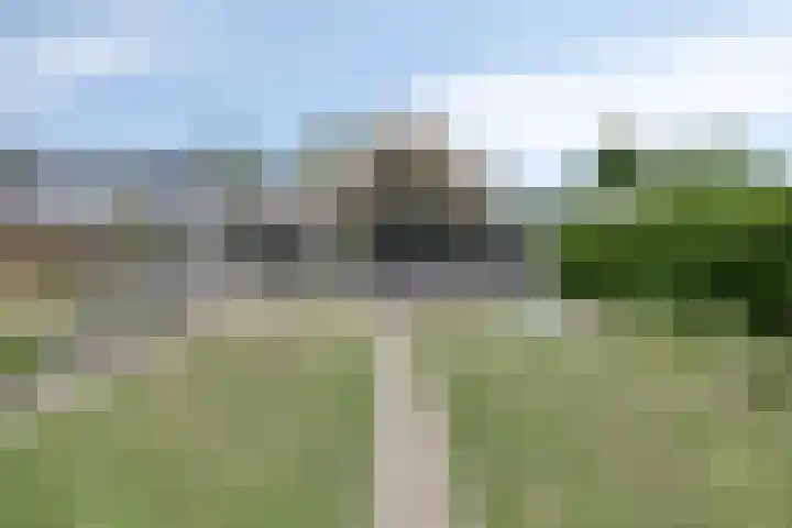 de Wildkamp 17 Epe thumbnail 40