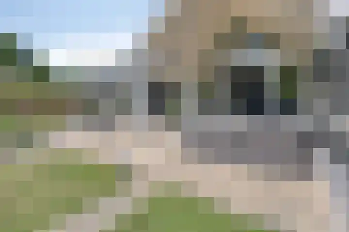 de Wildkamp 17 Epe thumbnail 41