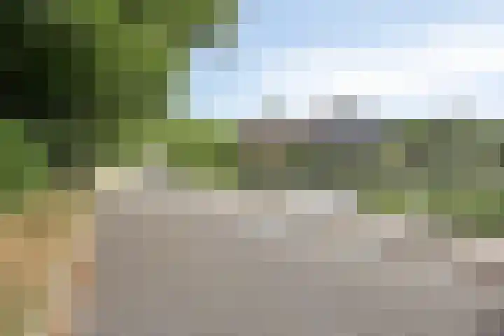 de Wildkamp 17 Epe thumbnail 45