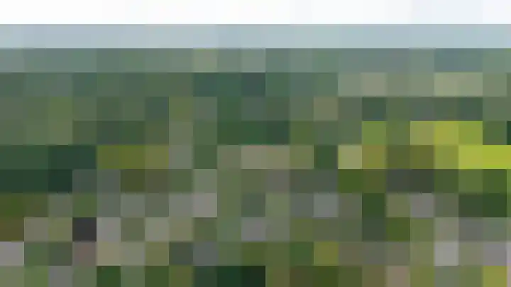 de Wildkamp 17 Epe thumbnail 46