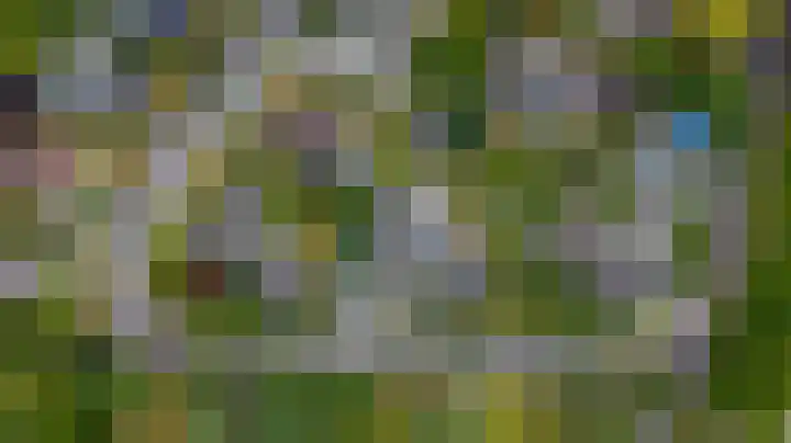 de Wildkamp 17 Epe thumbnail 47