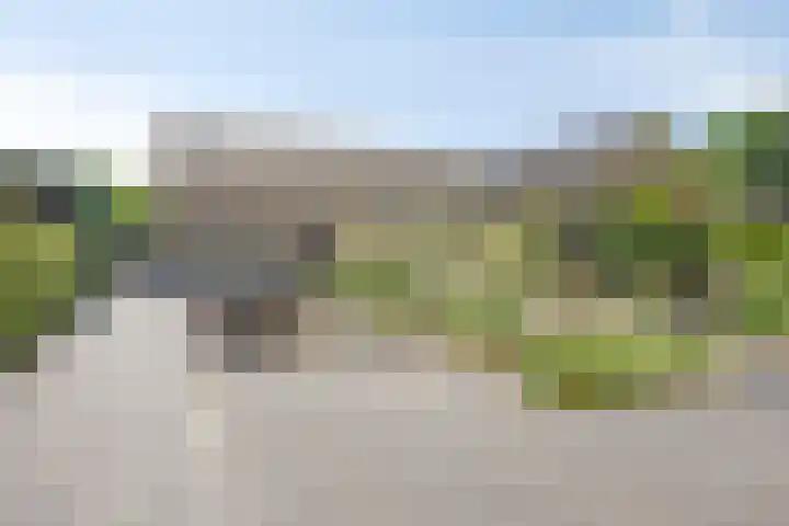 de Wildkamp 17 Epe thumbnail 5