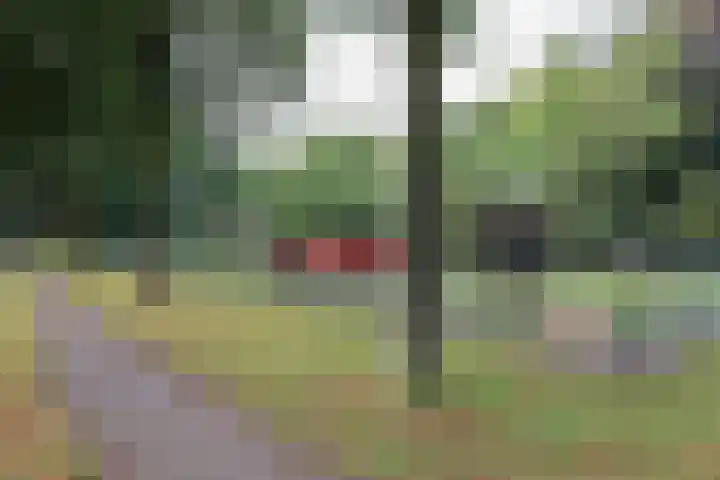 de Wildkamp 17 Epe thumbnail 52