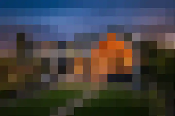de Wildkamp 17 Epe thumbnail 52
